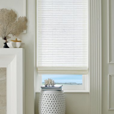 Blinds, Shades and Shutters